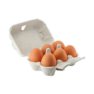 2024 Oeufs de poule fertilisés/Cobb 500 Oeufs de poulet de chair/Cobb frais 700 Oeufs fertiles Oeufs de table frais blancs et bruns - Product Image 5