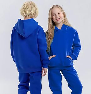 <b>Soft</b> 100% Polyester Fabric Autumn <b>Kids</b> Hoodie with Regular Fit for Daily Activities and Outdoor <b>Play</b> Fashionable Child Hoodie - Product Image 3