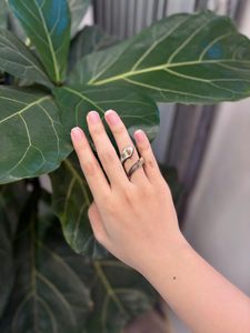 แหวนเครื่องประดับทำจากเขาควายที่เป็นมิตรต่อสิ่งแวดล้อม ดีไซน์ทันสมัยและมีเอกลักษณ์ โดยงานฝีมือของซานียา - Product Image 2