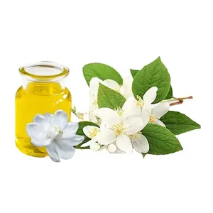 Direct Factory Bulk Supply Customized 100% Organic Good Quality Jasmine Flowers Essential Oil for Sale