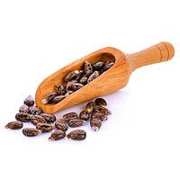 Achetez des graines de ricin en ligne en vrac, germination rapide, 100% naturelles, graines de ricin pures avec une durée de conservation de 2 ans pour la cuisson