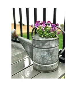 Plant sprayer with handle garden accessories large capacity wrought iron watering can manufacturer and supplier