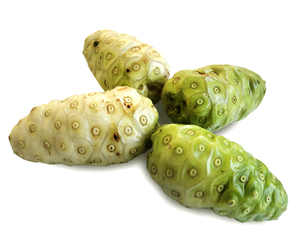 Fruta de noni congelada de la mejor calidad disponible a granel - Product Image 1