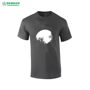 Camiseta Blanca Lisa de Algodón 100% de 180 g/m², Corte Regular, Ecológica, Antiarrugas, con Impresión de Logotipo Personalizado en la Parte Delantera, para Hombre, Precio Económico - Product Image 5