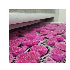 Offre exclusive: fruit du dragon séché et doux, naturellement doux et moelleux - Product Image 3