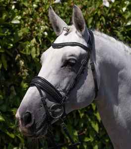 Bridon de cheval en cuir classique, design anglais traditionnel, adapté au dressage, au saut d'obstacles et à l'équitation quotidienne. - Product Image 1