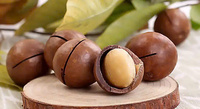 Noix de macadamia grillées en coque, qualité export, en vrac (5kg/10kg/20kg), cartons, fournisseur en gros du Vietnam, directement de l'usine, OEM