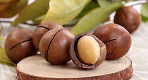 Nueces de Macadamia Tostadas con Cáscara, Directamente de Fábrica, Proveedor Mayorista de Vietnam - Product Image 6