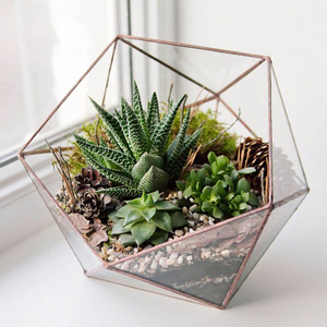 Terrarium décoratif en verre transparent de qualité de luxe pour le jardin et la maison, cadre en fer, meilleurs prix raisonnables - Product Image 2