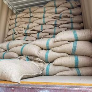 Café Vert Biologique Robusta de Haute Qualité, Grade 1, Sac de 1kg, Approvisionnement en Gros de l'Usine Italienne, Tamis 16 18, Prix Abordable - Product Image 3