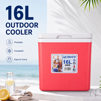 Glacière portable 16L pour camping, pique-nique, plage et pêche