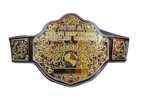 เข็มขัดแชมป์มวยปล้ำเข็มขัดถ้วยรางวัลและรางวัลสัญลักษณ์สูงสุดของชัยชนะและเข็มขัดแชมป์ยอดเยี่ยม - Product Image 5