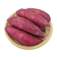 Vietnam Bevroren Verse Zoete Aardappelen-Honing/Japanse Zoete Aardappelen Voor Export-Topleveranciers Diepvriesgroenten
