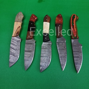 Cuchillo desplumador de caza de acero de Damasco de alta calidad hecho a mano personalizado con mango de madera y resina, cuchillos para exteriores, Funda de cuero gratis - Product Image 2