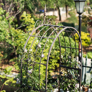 Vòm Vườn Bằng Kim Loại Cổ Điển Giàn Mắt Cáo Cây Leo Dây Leo Trang Trí Bãi Cỏ Tiệc Cưới Cô Dâu Vòm Ngoài Trời Có Cổng - Product Image 3