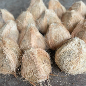 Obtenez la meilleure affaire des prix de gros des noix de coco semi-décortiquées fraîches - Product Image 6