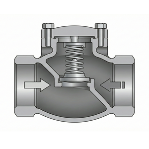 Vanne de retenue forgée, taille 1/2'' SW, extrémités en acier au carbone, pour usage industriel, permettant le flux avant et empêchant le reflux. - Product Image 2
