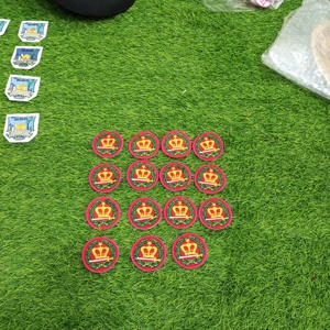 Orden del Amaranto Símbolo Corona Recortada Hierro En Parche - Product Image 5