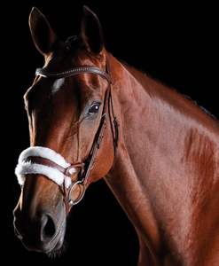 Bride en peau de mouton personnalisée fabricants de brides de cheval en cuir véritable vendant des chevaux en cuir véritable - Product Image 1