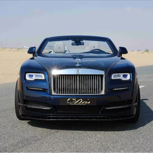 2022 Lujoso Convertible RWD V12 1168km 726mi 563hp 850Nm Torque Velocidad Máxima 250km/h Interior de Cuero Premium OEM Industrial - Product Image 1