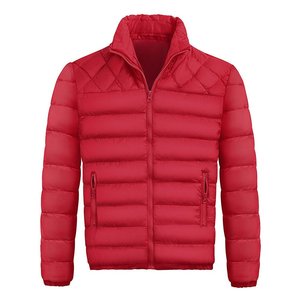 Chaqueta acolchada con logotipo personalizado para exteriores, ligera, cálida, de nailon, con capucha, para invierno - Product Image 1