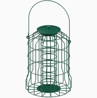 Mangeoire à oiseaux en métal anti-écureuil, design mural écologique pour une utilisation en extérieur en hiver, contient des graines pour les oiseaux