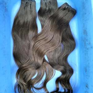 Extensions de cheveux humains vierges indiens Remy gris naturel VGP, trame double machine, 100g, toutes couleurs disponibles - Product Image 1
