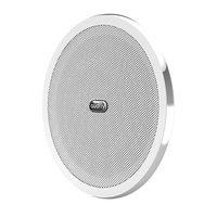 Haut-parleur directionnel super ultrasonique Audfly Haut-parleurs directionnels à faisceau sonore focalisé montés au plafond