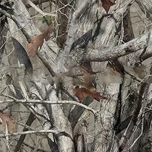 Sudadera de Camuflaje con Cuello Redondo, 100% Algodón, al por Mayor, Básica, Mezcla de Algodón, Personalizable para Invierno - Product Image 6