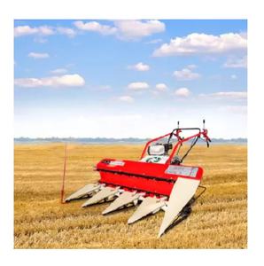 Mini Cosechadora Compacta con Motor para una Alta Productividad en la Cosecha de Maíz en Pequeñas Granjas y Campos Estrechos - Product Image 3