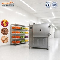 Machine de lyophilisation industrielle en acier inoxydable 304 entièrement automatique pour aliments pour animaux, fruits et viande