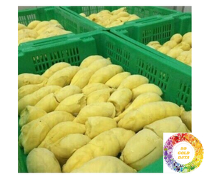 Durian congelado Premium Vietnam exportación dulce natural Durian congelado en venta de alta calidad al por mayor en stock listo Mejor Precio Oferta - Product Image 6