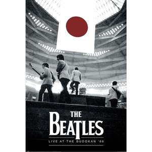 Póster de The Beatles 1966 Live at Budokan, placa artística única - Product Image 3