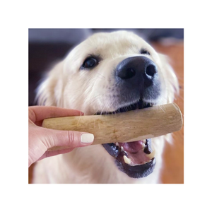 ไม้กาแฟของเล่นสุนัขเคี้ยวรูปร่างกระดูก/เป็นมิตรกับสิ่งแวดล้อมธรรมชาติไม้กาแฟสุนัขเคี้ยวของเล่นสัตว์เลี้ยง - Product Image 4
