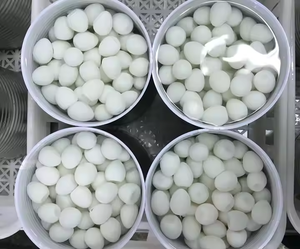 Huevos de codorniz enlatados de alta calidad/larga vida útil/listo para usar/servicio de comida amigable - Product Image 2