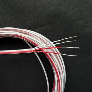 Câbles RTD FEP à conducteur toronné 10 AWG - Product Image 1