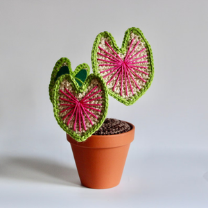 Flor de ganchillo hecha a mano, plantas en maceta, flores artificiales para siempre, regalo para un amigo, perfecto para decoraciones del hogar, OEM hecho en Vietnam - Product Image 1