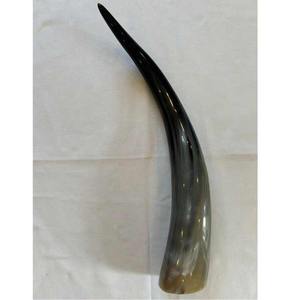 ตัวเขาวัวยาว32นิ้วของตกแต่งรูปสัตว์งานฝีมือสไตล์ทะเลขัดเงาแบบคู่พรีเมี่ยม - Product Image 3