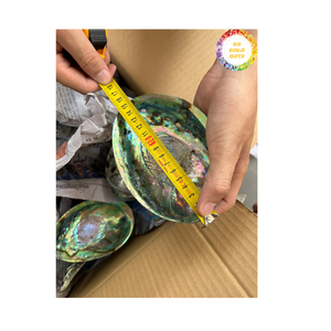 เปลือกหอยเป๋าฮื้อพรีเมี่ยมจากเวียดนามวัสดุจากทะเลแท้สำหรับเครื่องประดับฝังจิวเวลรี่และขายส่งทั่วโลก - Product Image 3