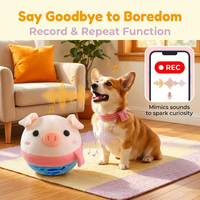 Peluche Porc Sauterette Musicale, Balle Clown, Balle Vague de Mer, Jouet Interactif Parlant Style TikTok pour l'Apprentissage du Langage et Sensoriel