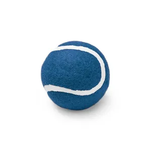 Europio Pallina Personalizzata per Cani, Gadget Promozionali Personalizzati per Animali Domestici - Product Image 2