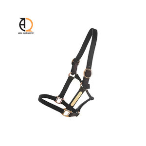 Licol en cuir pour l'équitation, pour l'entraînement des chevaux, cuir travaillé à la main, licol en corde de nylon design - Product Image 3