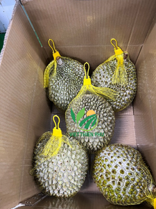 Haute qualité IQF congelé Durian VIET THIEN PHU-VIET NAM goût sucré sain eau préservée prix compétitif emballage en vrac fruits - Product Image 3