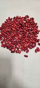 Coral rojo italiano de alta calidad, color rojo intenso, forma ovalada, tamaño pequeño, piedra preciosa suelta para la elaboración de joyería. - Product Image 3