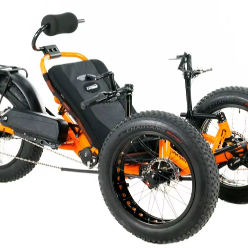 プレミアムカーボンリカンベントトライクで、サイクリング愛好家の