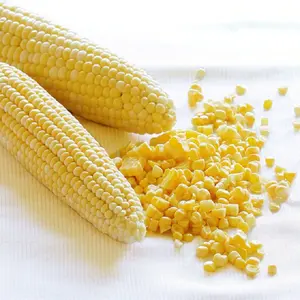 Dried Yellow Corn / Dried Yellow Maize / Yellow corn for Animal feed for sale