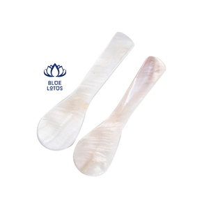 เปลือกหอยสังข์ช้อนราคาที่แข่งขันจากเวียดนามเพื่อการส่งออก - Product Image 5