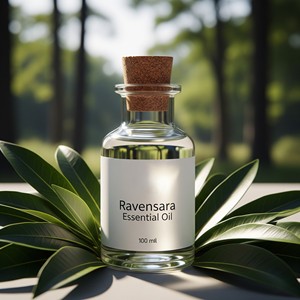 Huile essentielle de Ravensara naturelle pure de qualité thérapeutique Cinnamomum camphora Huile d'aromathérapie Fournisseur en gros - Product Image 4