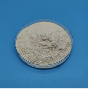 Engrais biologique en poudre de chitosane pour usage agricole - Product Image 3