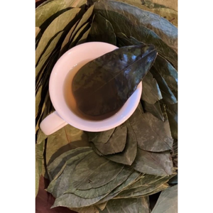 ใบทุเรียนเทศแห้ง, guanabana, ชาผู้หญิง, สมุนไพรธรรมชาติผสม100% ใบทุเรียนเทศธรรมชาติ - Product Image 5